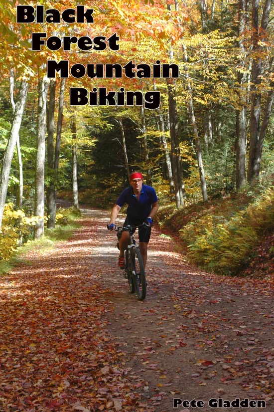 DSC 2209 cover 2 copy